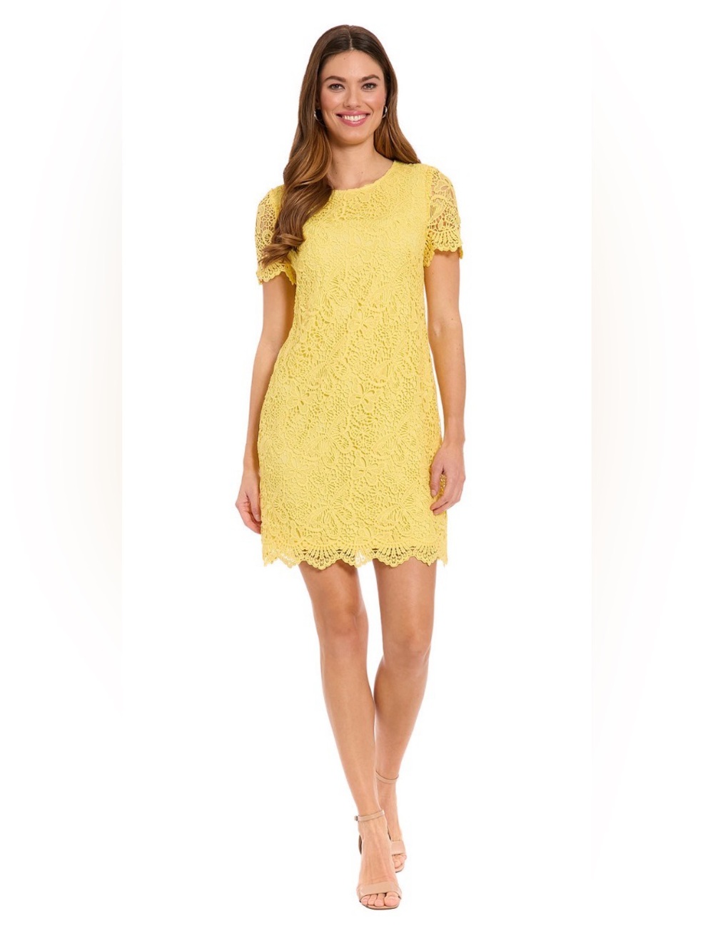 London Times Sunshine Scallop Hem Lace Dress size 14